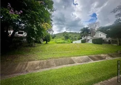 Michelle Vende Terreno En Urb Hato Royal En Guataparo Valencia Jg-g /326