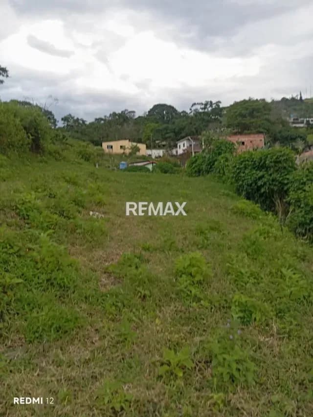 Venta de Terreno Ubicado en El Abejal de Palmira, Municipio Guasimos, San Cristóbal Estado Táchira, Sector Aldea El Abejal