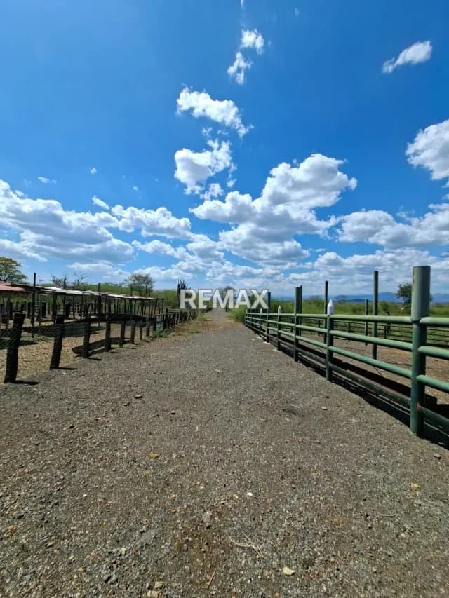 En venta finca (extensión de terreno) hato 26