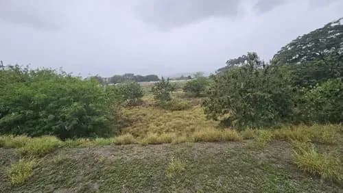 Terreno - Avenida Intercomunal - 11.300 Mts2
