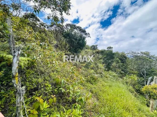 Se vende Terreno Sector Palo Gordo Aldea 5 de Julio Municipio Capacho viejo, Estado Táchira