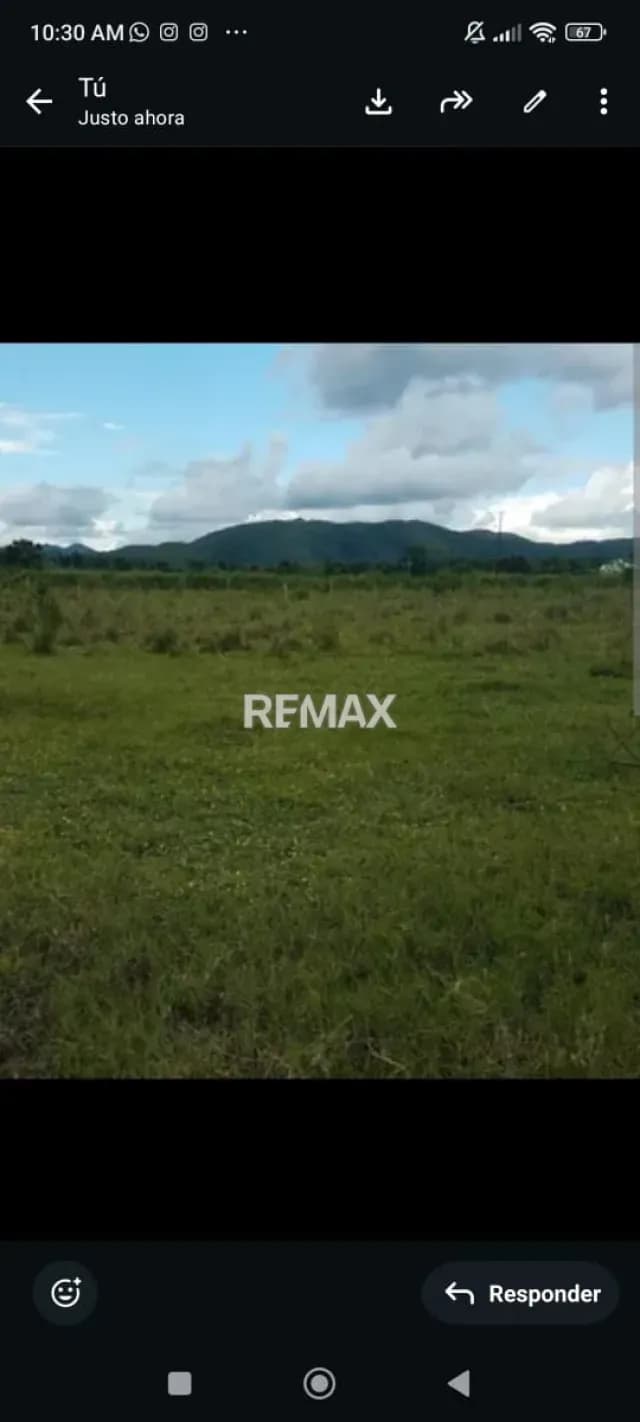 SE VENDE TERRENO EN PREGONERO