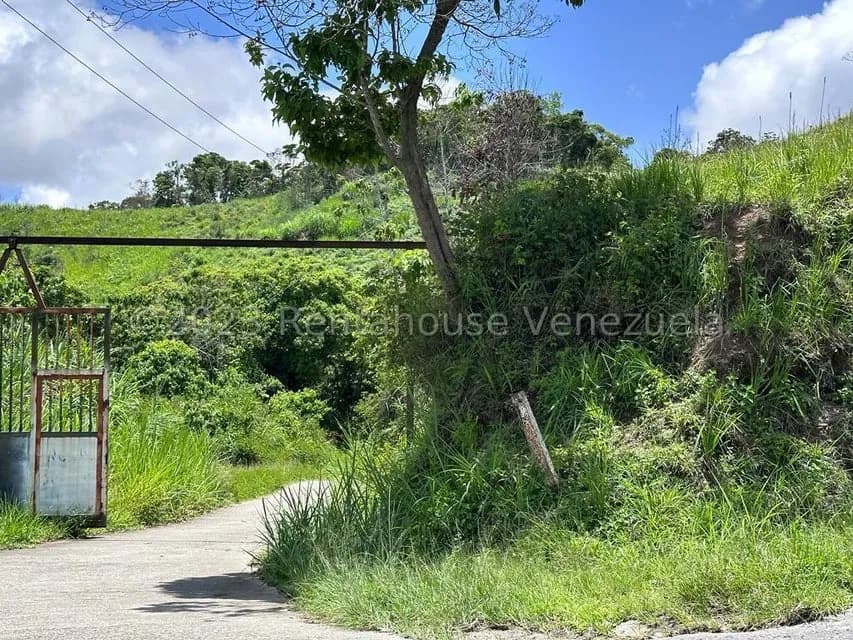 Terreno (Finca) en Venta en El Limon, Miranda