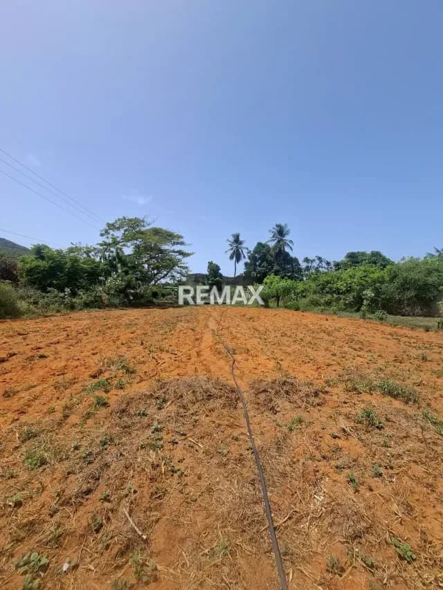 EN VENTA AMPLIO TERRENO EN EL TIRANO