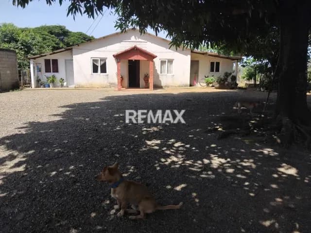 En Venta Casa ubicada en Guanare, La Colonia parte alta, via principal, sector 4, Guanare, Portuguesa, Venezuela