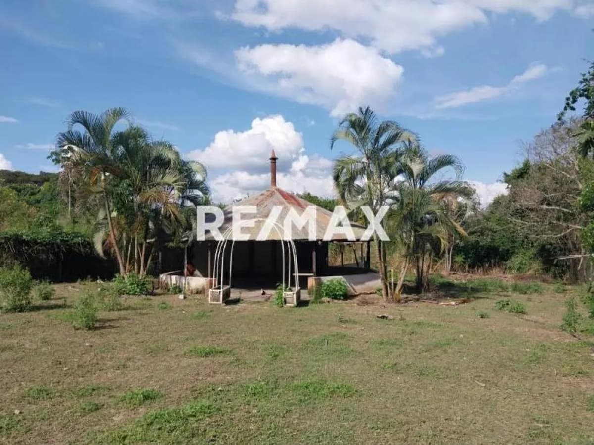 En Venta Terreno ubicado Guacamaya Via El pao