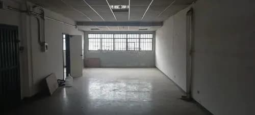 Alquiler (cliente Directo) Local Para Remodelar De 250 Mts2. Tiene Un Area De Oficina Y 2 Baños, Piso 3. Edificio Industrial Comercial. Boleita Sur. Milthonhouse53