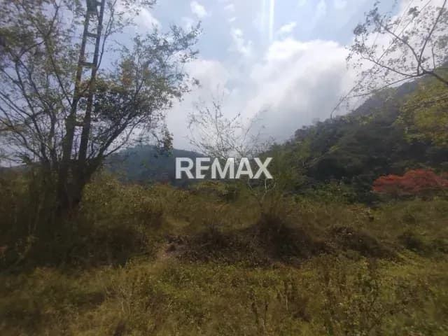 Terreno. Venta. La Rotaria