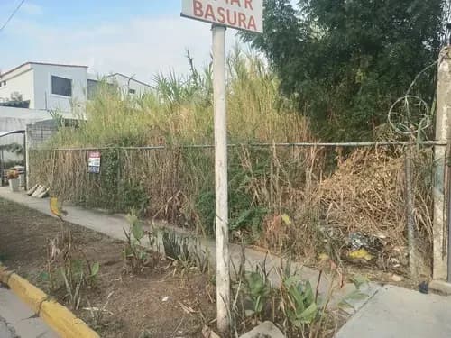 276574 Am* Alquiler Terreno - Mañongo Naguanagua