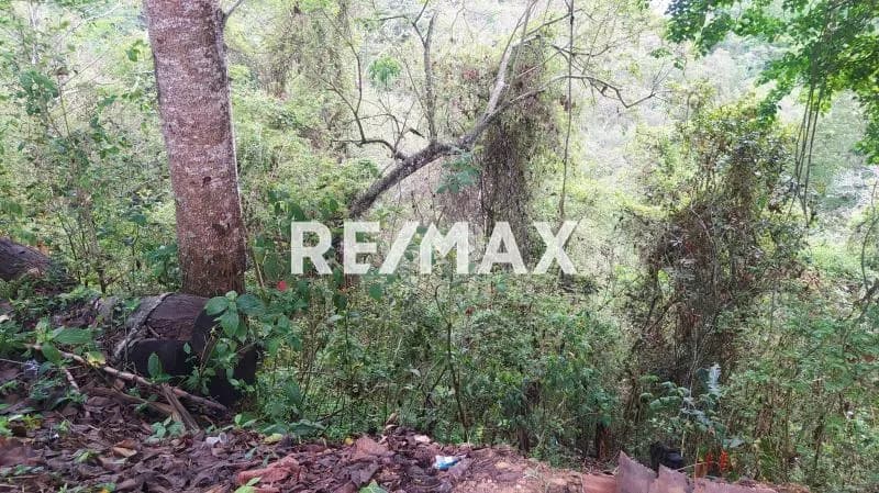 AMPLIO TERRENO EN VENTA EN LA UNIÓN-EL HATILLO