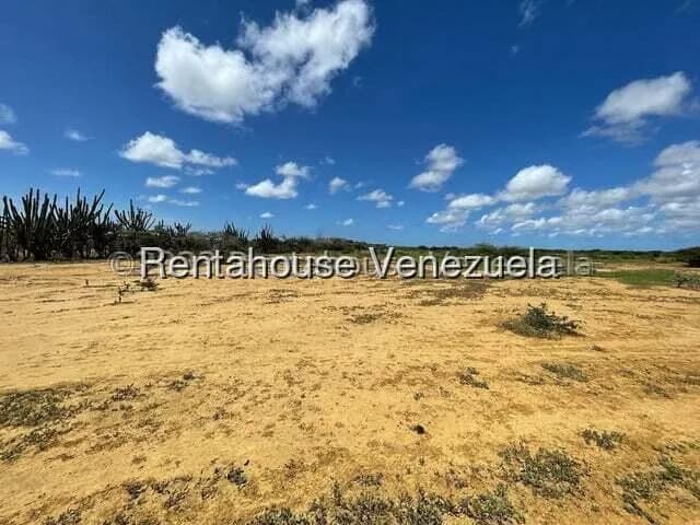 Terreno (Comercial) en Venta en Pueblo Nuevo, Falcon