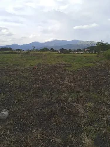 En Venta Terreno Urb. Los Naranjos Guacara Estado Carabobo (lp)