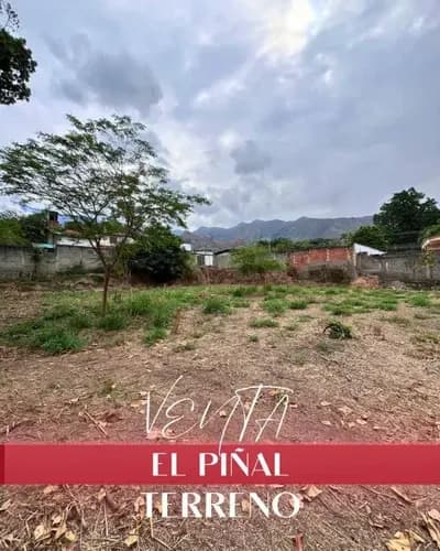 Vendo Terreno En El Limon El Piñal