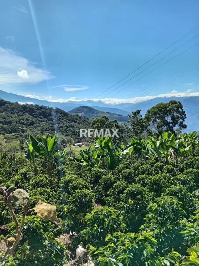 Finca en Venta