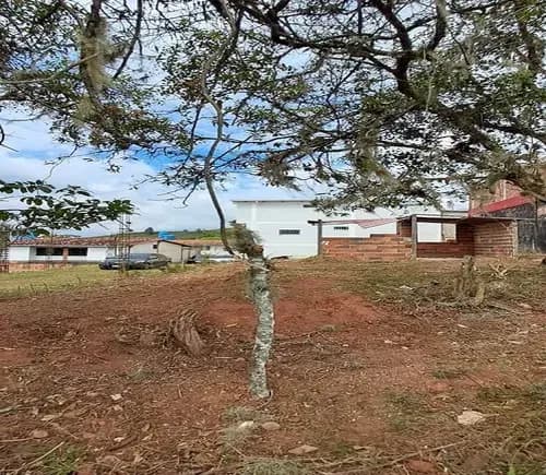 Terreno En Venta Venezuela Tachira San Cristobal Ubicado En Cueva Del Oso Financiamiento Financiado