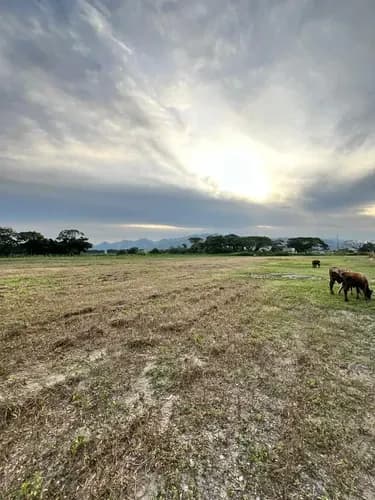 Terreno Comercial En Venta Tocuyito, Mercado Mayorista 1800 M2 Hp