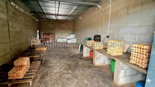 % Rafael Gamarra Ofrece En Venta Granja, En Cabudare El Mayal, 2f17463, Con Agua Constante, Amplia, En Optimas Condiciones.