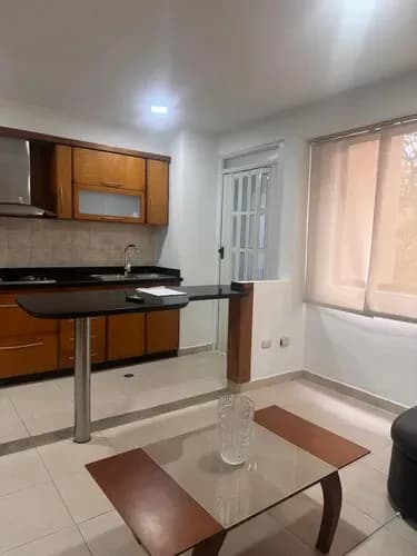 Apartamento En Alquiler Totalmente Amoblado En Piso Bajo Con Aire Integral Y Pozo De Agua Residencias Lomas De Los Mangos, Urbanización Los Mangos Ag-dr