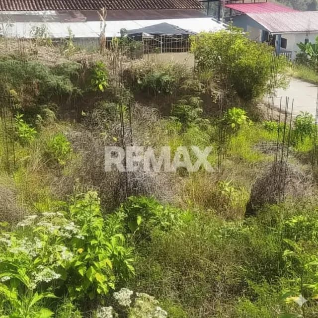 SE VENDE TERRENO EN PREGONERO