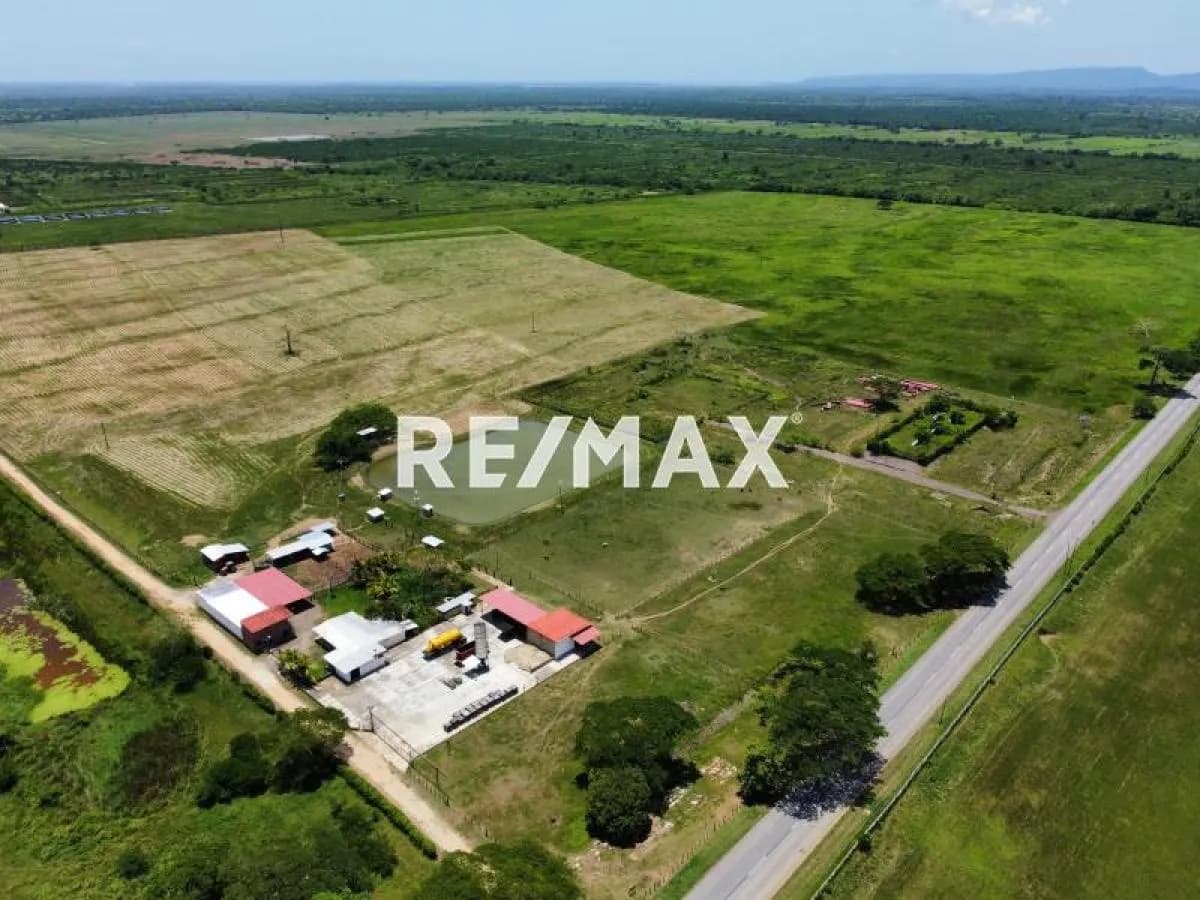 En Venta Finca De 45 Hectáreas De Terreno Plano, A Orilla De Carretera En El Alto, Yaracal.