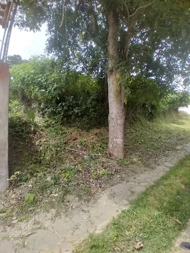 Excelente Terreno Residencial Perfecto Para Construir Viviendas Multifamiliares. Ubicado En Calle Ciega.