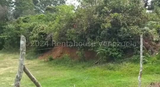 Terreno (Residencial) en Venta en Pie del Tiro, Merida