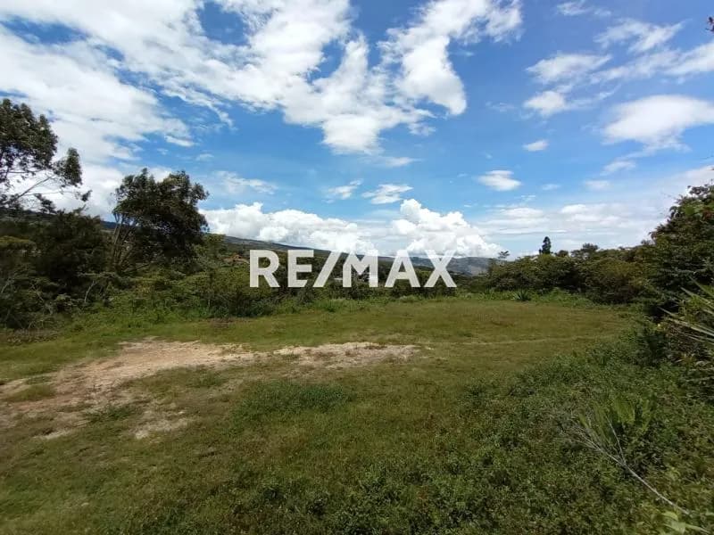 TERRENO EN VENTA ALDE BOCA DE MONTE