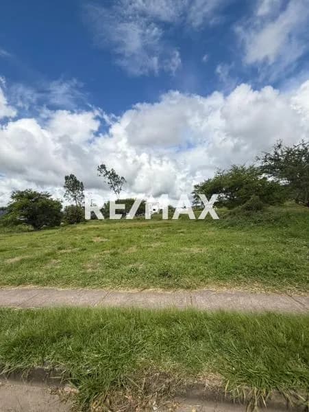 VENTA TERRENO Ubicado en Sector la colonia, Avenida las américas, Rubio Municipio Junín. 1.SUB LOTE NUMERO 15: