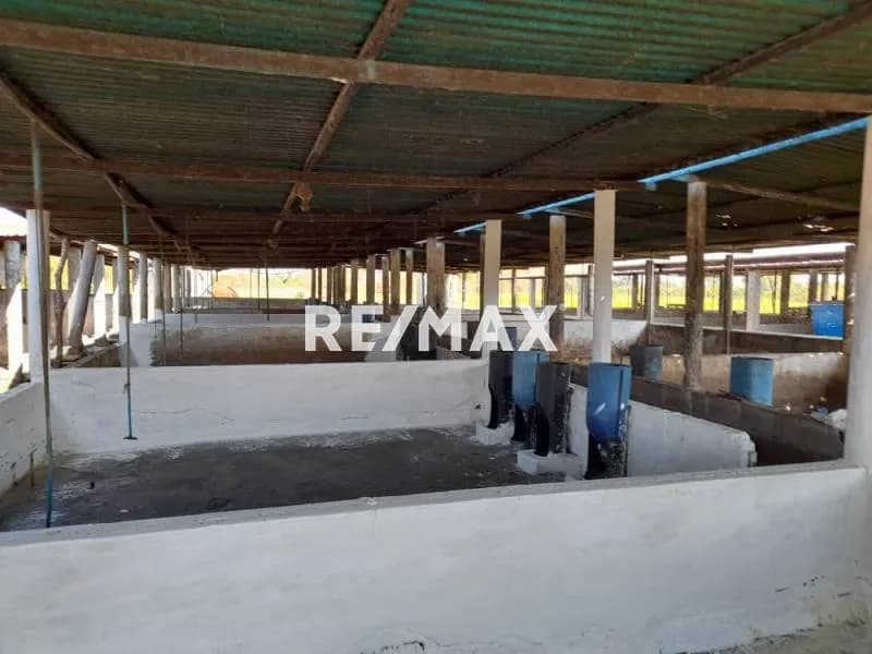 VENDO GRANJA DOBLE PROPOSITO EN BARQUISIMETO