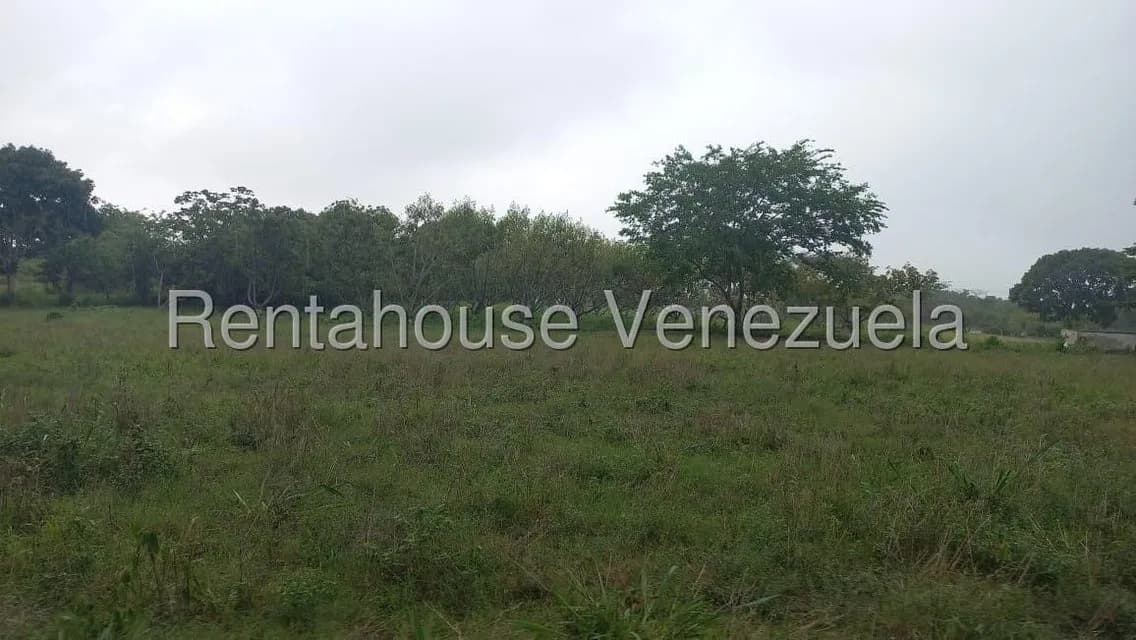 Terreno (Industrial) en Venta en Jose A Paez, Yaracuy