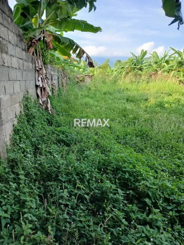 EN VENTA TERRENO EN SAN JUAN DE COLON