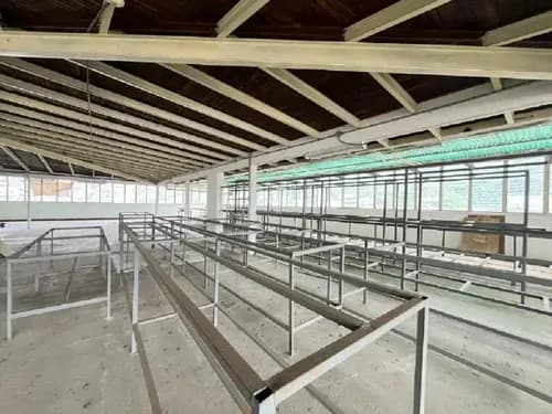 Venta De Piso Industrial En Ruiz Pineda 157601mes Ph/719m2