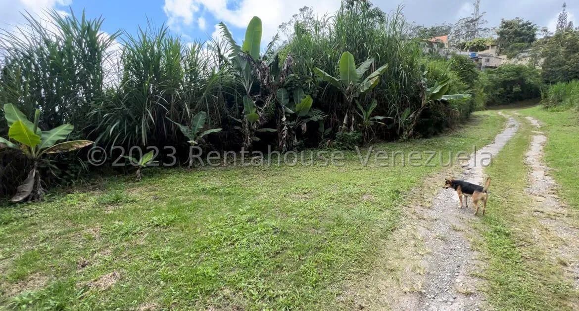 Terreno (Comercial) en Venta en San Antonio, Miranda