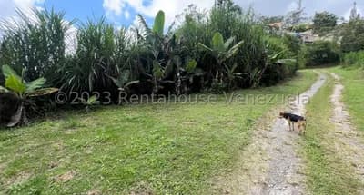 Terreno en venta en San Antonio, Los Teques, Miranda - $75k