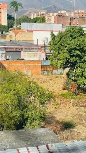 Terreno Comercial En Venta Av Arévalo González A Pie De Calle. Guacara.