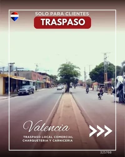 Traspaso Local Comercial Charcuteria Y Carniceria 325768