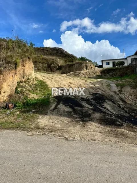 Terreno. Venta. Palo Gordo