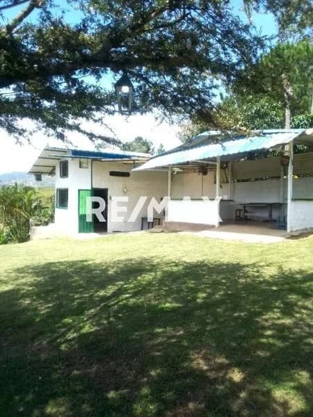 VENTA DE FINCA SECTOR BUENOS AIRES TUCAPE