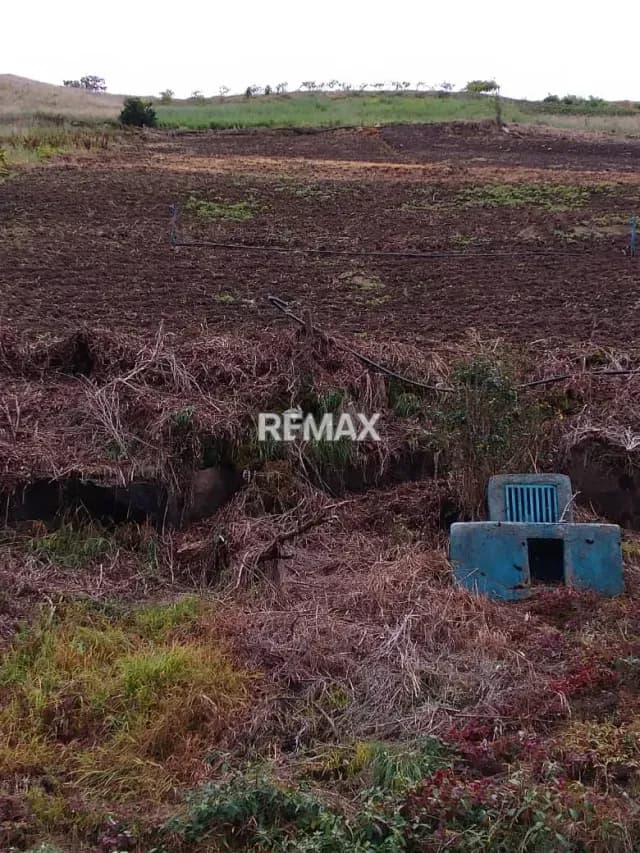 EN VENTA TERRENO EN PREGONERO #150