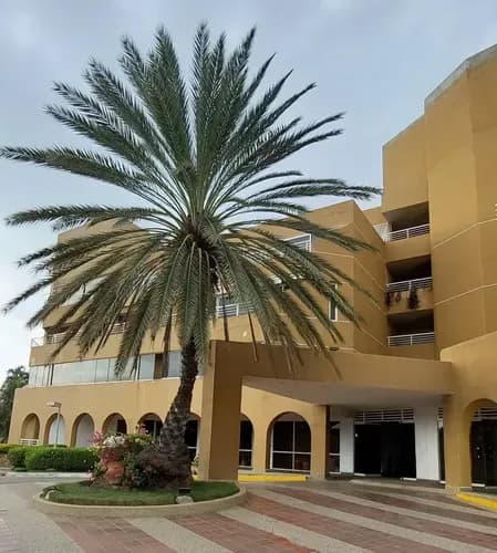 Vendo Apartamento De 3 Hab Playa Lido, Playa Mar, Lecheria
