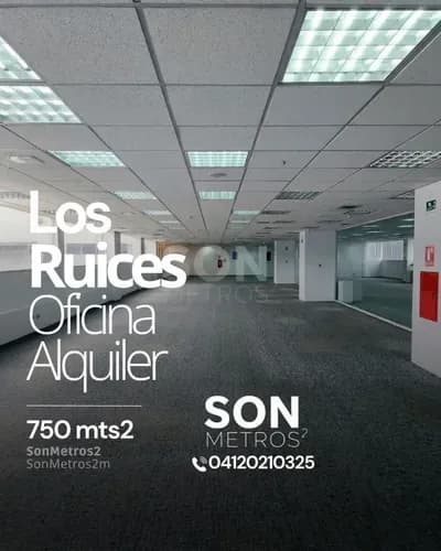 Oficina Alquiler Los Ruices 750 Mts2. Sonmetros2