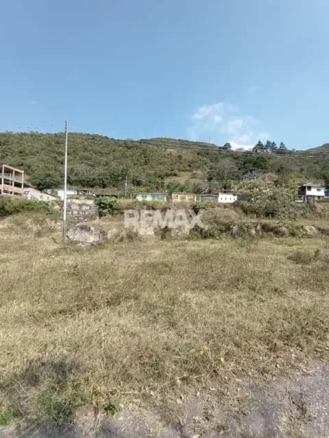 Parcela en Venta Palmira