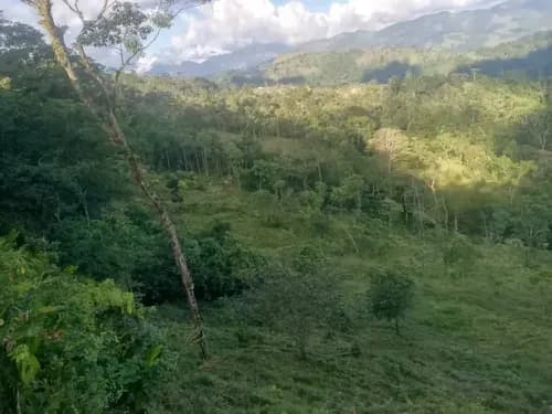 Se Vende Terreno En Via Principal De Caneyes