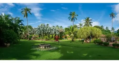 Se Alquila Casa 8000m² 4h/5b/4p Margarita (alquiler Vacacional)