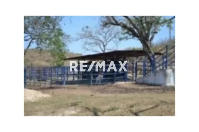 Finca La Culata 580 Hectáreas Tinaquillo Cojedes $ 270.000 Negociable