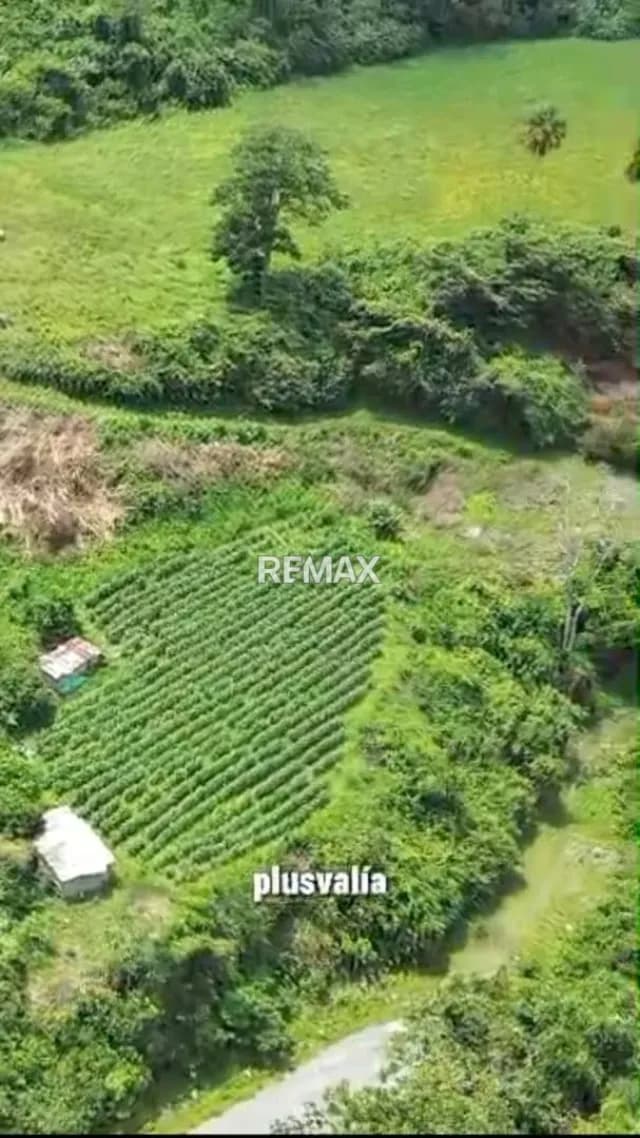 Terreno en venta