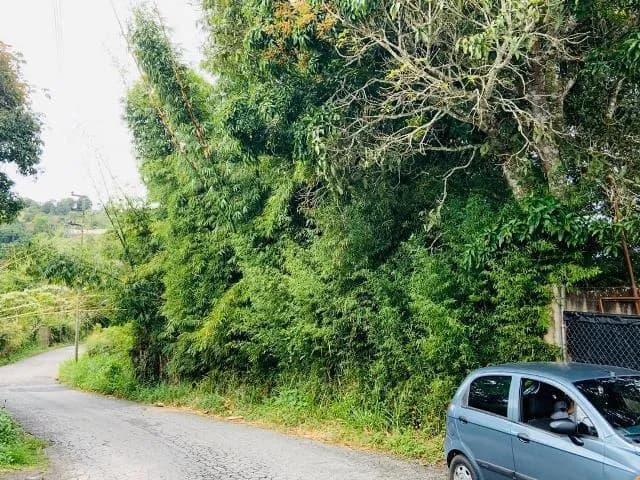 Terreno (Residencial) en Venta en El Hatillo, Distrito Metropolitano