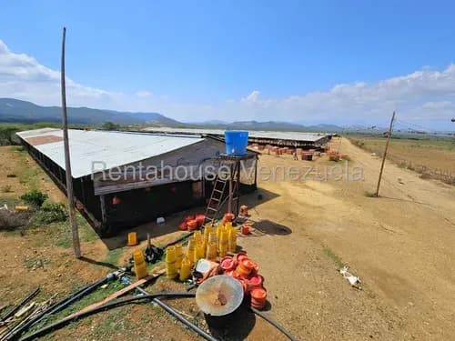 Venta Hacienda Operativa De 2730000 Hectáreas Con Catorce Galpones Y Potencial Turístico En Pavia Barquisimeto, Lara # 26- 19489aa