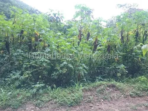 Oportunidad!! Venta De Terreno En El Hatillo, No Dejes Pasar La Oportunidad De Inversión! Belkis 26-18694