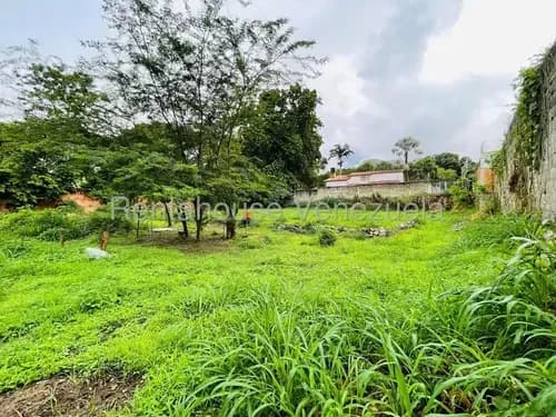 Terreno En Venta Piñal Norte El Limon Para Proyecto Residencial #25-22763 Rm
